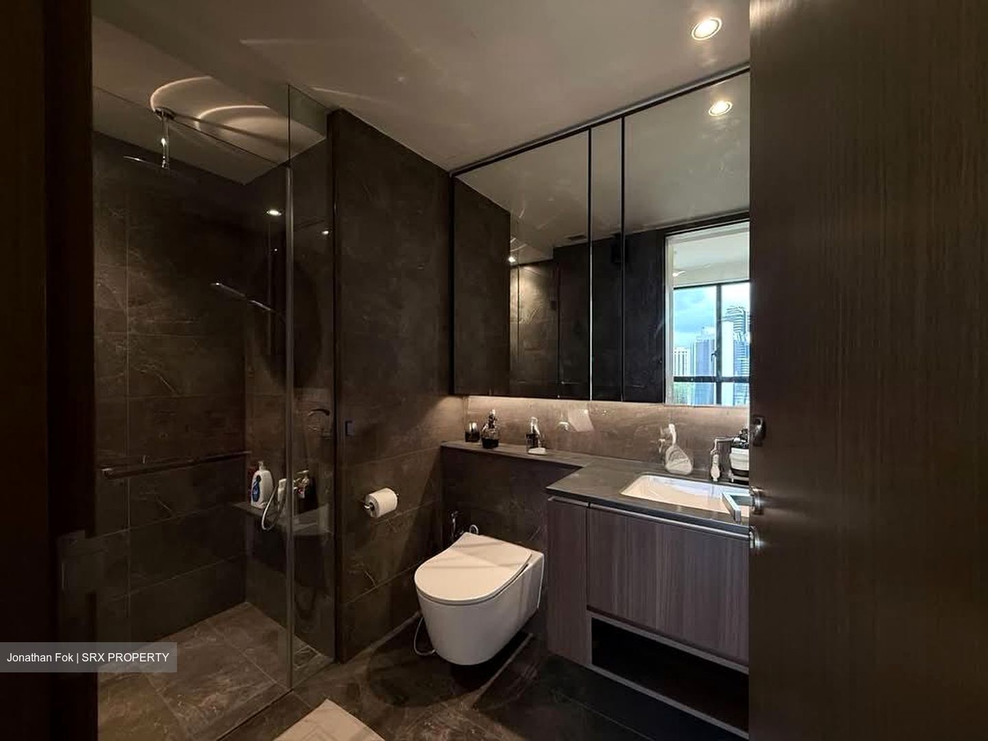 Kopar At Newton (D9), Apartment #563495281